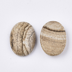 Natur Bildjaspisses cabochons G-S349-25A-01