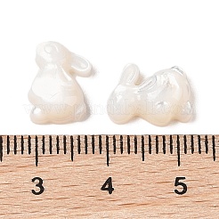Natürliche weiße Muschel-Cabochons geschnitzt SSHEL-C012-18