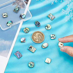 16 Stück 4 Stil natürliche Muschel-Cabochons SSHEL-BC0001-23