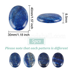 Natürliche Lapislazuli flache zurück Cabochons G-PH0002-22A