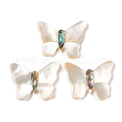 Natürliche weiße Muschel- und Paua-Muschel-Cabochons SSHEL-I026-27