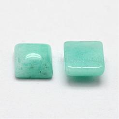 Platz natürliche amazonite cabochons G-O148-02A
