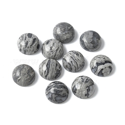 Naturstein-Cabochons G-Z075-06A