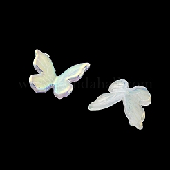 Schmetterling Regenbogen schillernde Beschichtung Acryl Cabochons PACR-B003-02