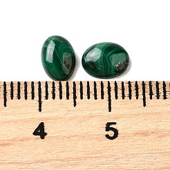 Natur Malachit Cabochons G-E557-03P