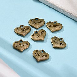 Tibetischer Stil Legierung Anhänger Fassungen für Strasssteine X-TIBEP-GC207-AB-NR