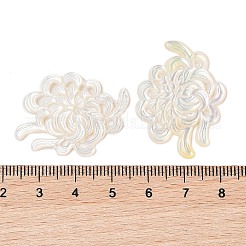 Natürliche weiße Muschel-Cabochons geschnitzt SSHEL-C012-24C