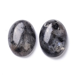 Natürliche schwarze Larvikit-Cabochons G-Z020-10