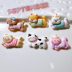 Undurchsichtige Decoden-Cabochons aus Harz KY-G031-02