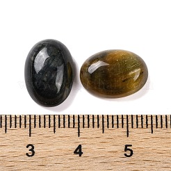 Natürlichen Tigerauge Cabochon G-B085-06B-04
