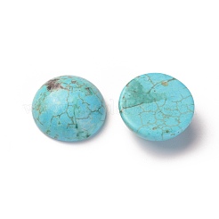 Natur Howlite Cabochons TURQ-L031-033B-01