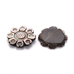 Natürliche schwarze Lippe Shell Cabochons SSHEL-T014-25