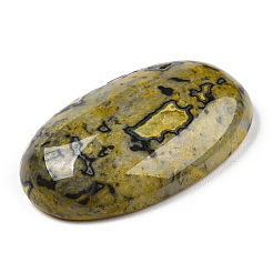 Natürliche Kräusel-Jaspis-Cabochons G-C028-04B
