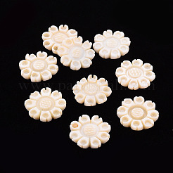 Süßwasser Shell Cabochons SHEL-T018-14