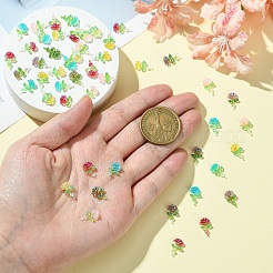 50 Stück 5 Farben transparente Harz-Decoden-Cabochons RESI-YW0001-66