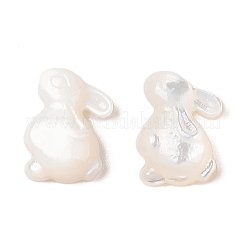 Natürliche weiße Muschel-Cabochons geschnitzt SSHEL-C012-18