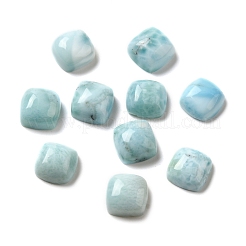 Natürliche Larimar-Cabochons G-E616-04B