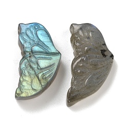 Natürlicher Labradorit geschnitzte Cabochons G-C152-03A