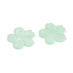 Durchscheinende Decoden-Cabochons aus Epoxidharz CRES-S367-05