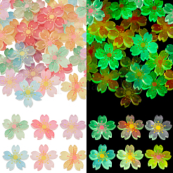 60 Stück 6 Farben leuchtende Harz-Cabochons RESI-GA0001-30-1