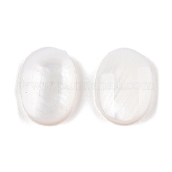 Natürliche Süßwasser Muschel Cabochons SHEL-T020-04