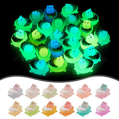 24 Stück 12 Farben leuchtende durchscheinende Harz-Cabochons DIY-TA0004-60
