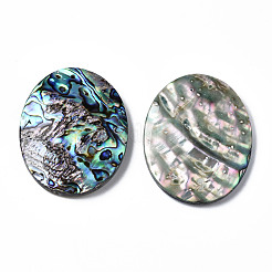 Natürliche Abalone Muschel / Paua Muschel Cabochons SSHEL-N034-87