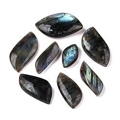 Importieren Sie natürliche Labradorit-Cabochons G-T138-206