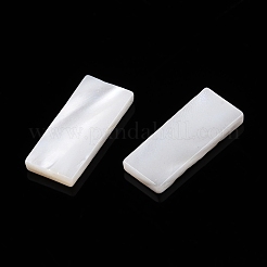 Natürliche weiße Muschel cabochons SSHEL-T017-07