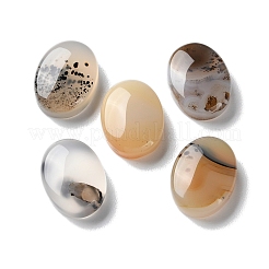 Natürliche dendritische Achat-Cabochons G-B138-03