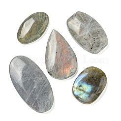 Natur Labradorit Cabochons G-Q191-03