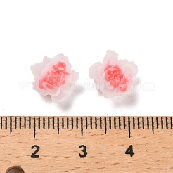 Leuchtende Decoden-Cabochons aus Harz RESI-K036-06D