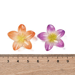 Undurchsichtigen Cabochons RESI-R455-01P