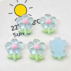 Durchscheinende Decoden-Cabochons aus Harz X-PW-WG80860-01