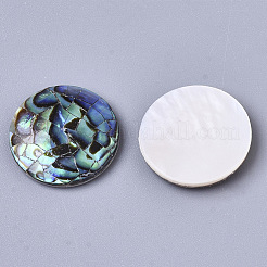 Natürliche Abalone Muschel / Paua Muschel Cabochons SSHEL-N034-45