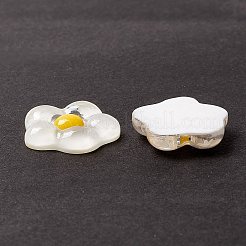 Transparente Harzcabochons CRES-A050-04