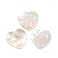 Natürliche Muschel-Cabochons SHEL-D079-18