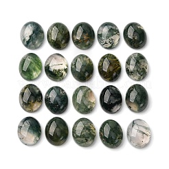 Natur Moos Achat Cabochons G-H314-01