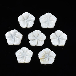 Natürliche Süßwasser Muschel Cabochons SHEL-N026-183