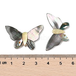 Natürliche schwarze Lippenmuschel & Paua-Muschel & gelbe Muschel-Cabochons SSHEL-I026-25