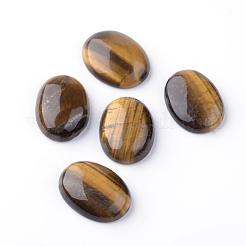 Natürliche gelbe Tigerauge Cabochons G-S240-24