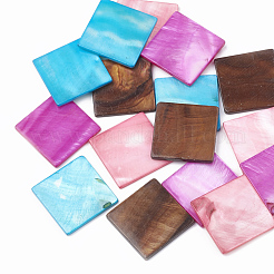 Süßwasser Shell Cabochons SHEL-T009-02