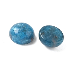 Natürliche Apatit-Cabochons G-S398-01A-01