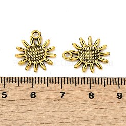 Tibetischer Stil Legierung Anhänger Fassungen GLF1377Y
