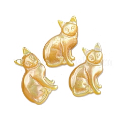 Natürlicher gelber Schal cabochons SSHEL-N038-05B