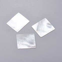 Natürliche weiße Muschel Perlmutt Muschel Cabochons SHEL-P076-05A