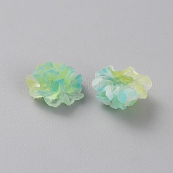 Farbverlauf-Rosen-Harz-Cabochons MRMJ-TAC0009-11