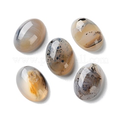 Natürliche dendritische Achat-Cabochons G-B138-02A