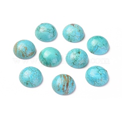 Natur Howlite Cabochons TURQ-L031-033B-01