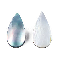 Natürliche Turbo Cornulus/Top Shell Cabochons SSHEL-N003-156A